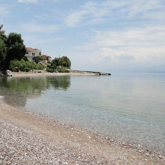Heirlooms And Halos Μοναστηράκι Εξωτερικό φωτογραφία